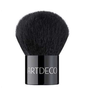 برس مخصوص پودر تثبیت کننده مینرال