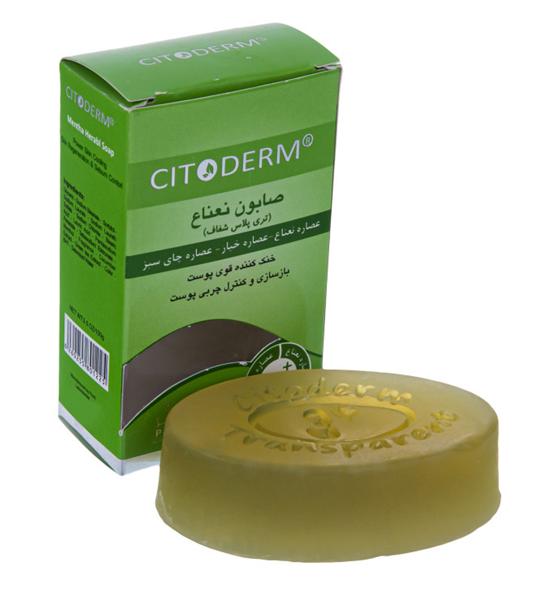 صابون نعناع 100گرمی