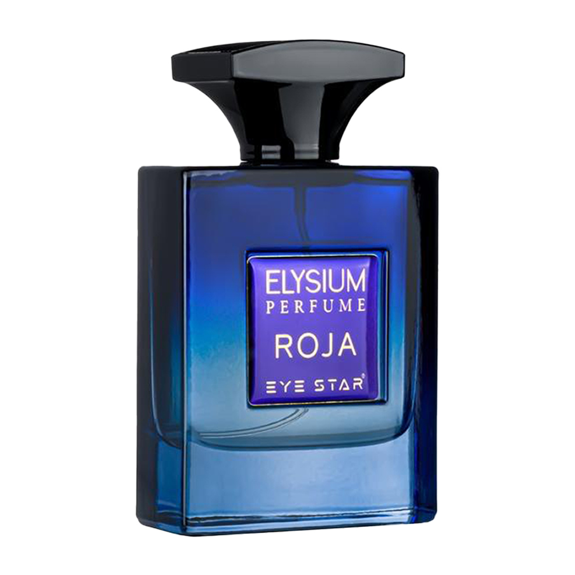 ادوپرفیوم مردانه مدل Roja Elysium حجم 100 میلی لیتر