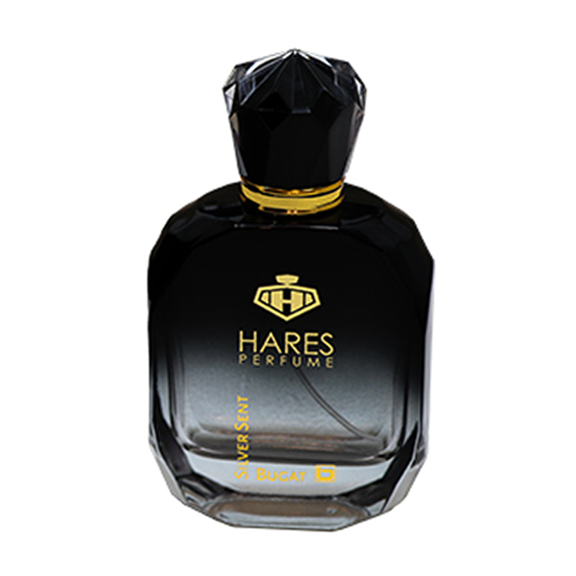 ادوپرفیوم مردانه مدل Silver Scent حجم 100 میلی لیتر