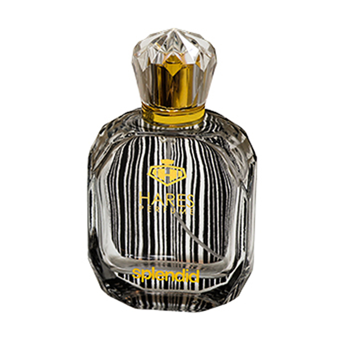 ادوپرفیوم مردانه مدل Splendid Black حجم 100 میلی لیتر