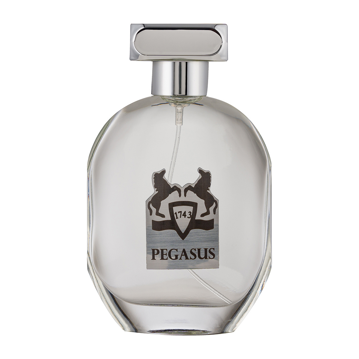 ادوپرفیوم مردانه مدل Marly Pegasus حجم 100 میلی لیتر