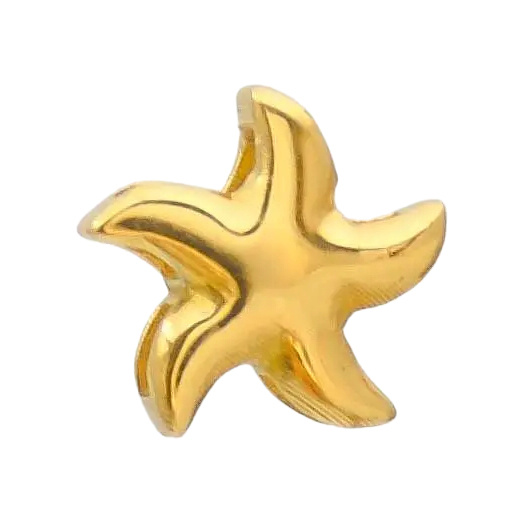 پلاک طلا 18 عیار مدل ستاره دریایی x
