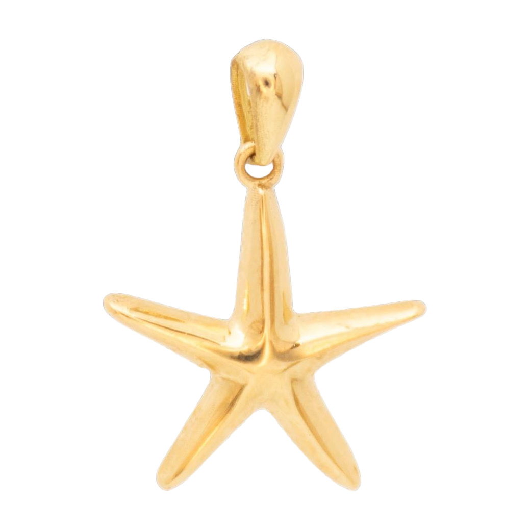 پلاک طلا 18 عیار مدل ستاره دریایی خورشیدی