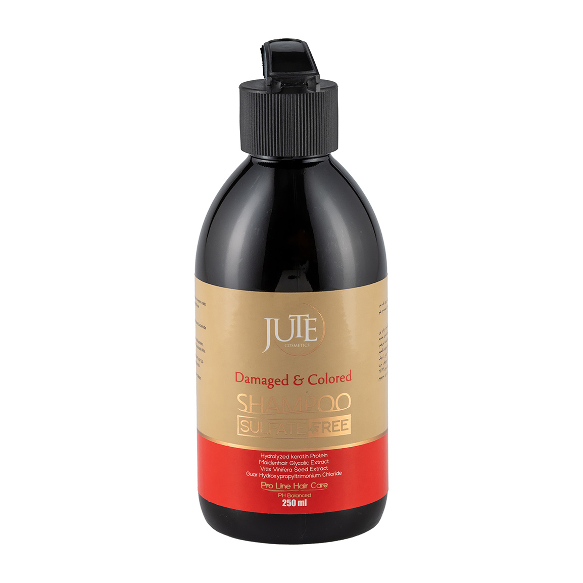 شامپو مخصوص موهای رنگ شده 250 میل