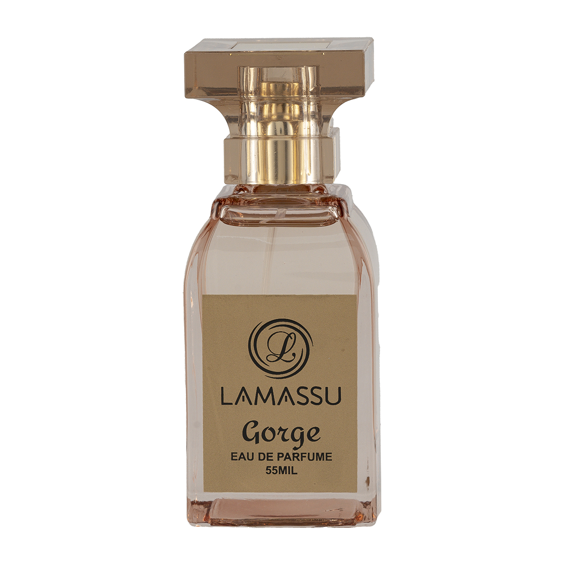 ادوپرفیوم مردانه Invictus مدل Gorge حجم 55 میلی لیتر