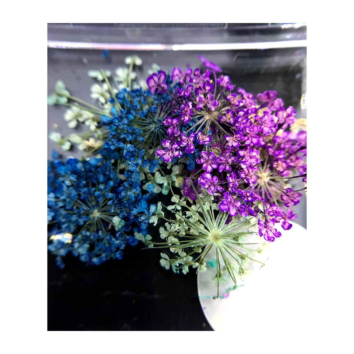 دیزاین گل خشک ناخن مدل LA2