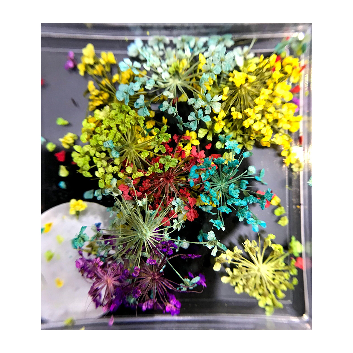 دیزاین گل خشک ناخن مدل LA4