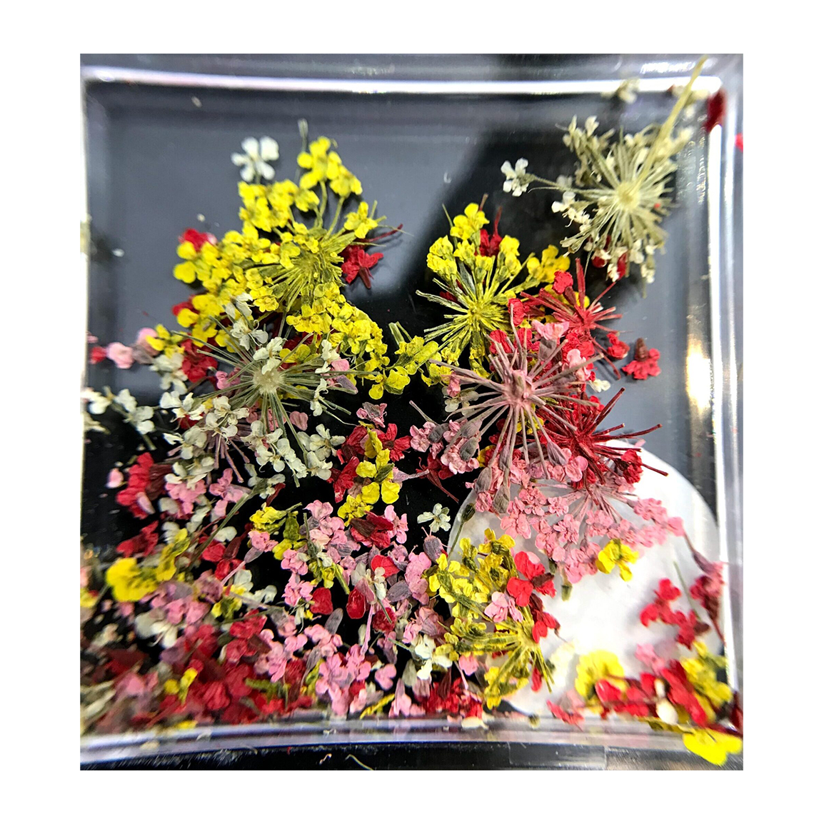 دیزاین گل خشک ناخن مدل LA6