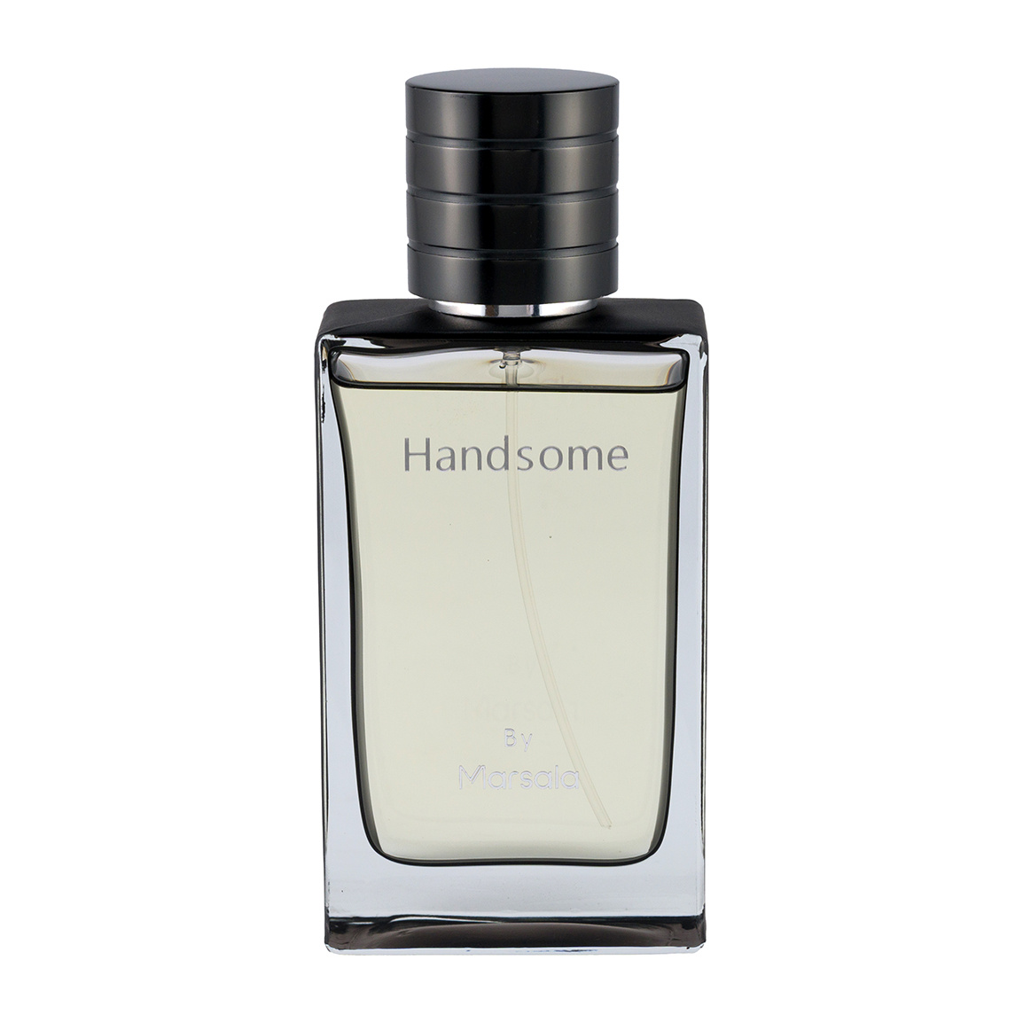 ادوپرفیوم مردانه مدل Handsome حجم 100 میلی لیتر