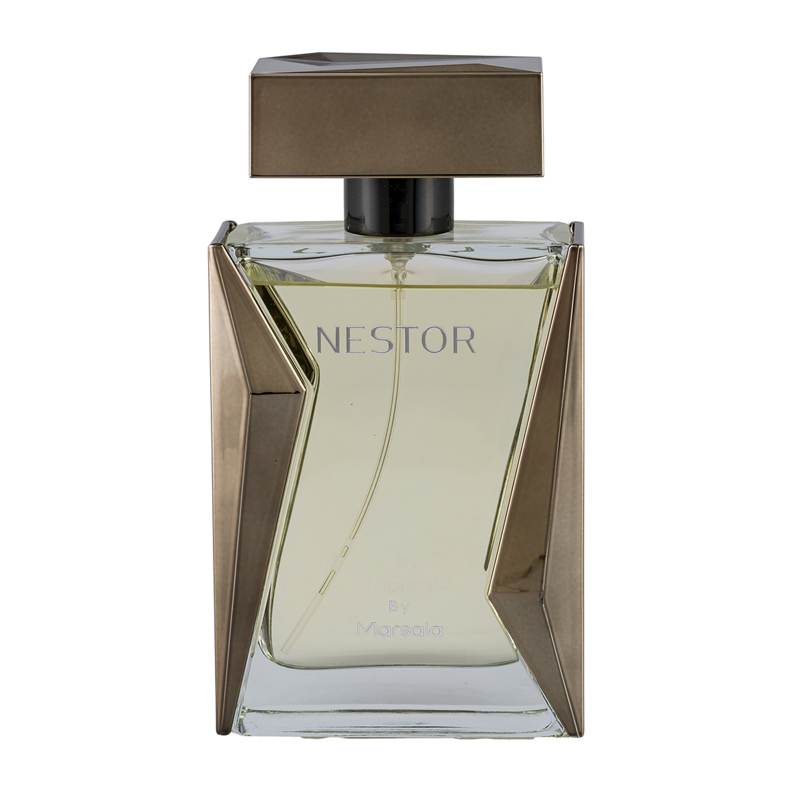 ادوپرفیوم مردانه مدل Nesture حجم 100 میلی لیتر