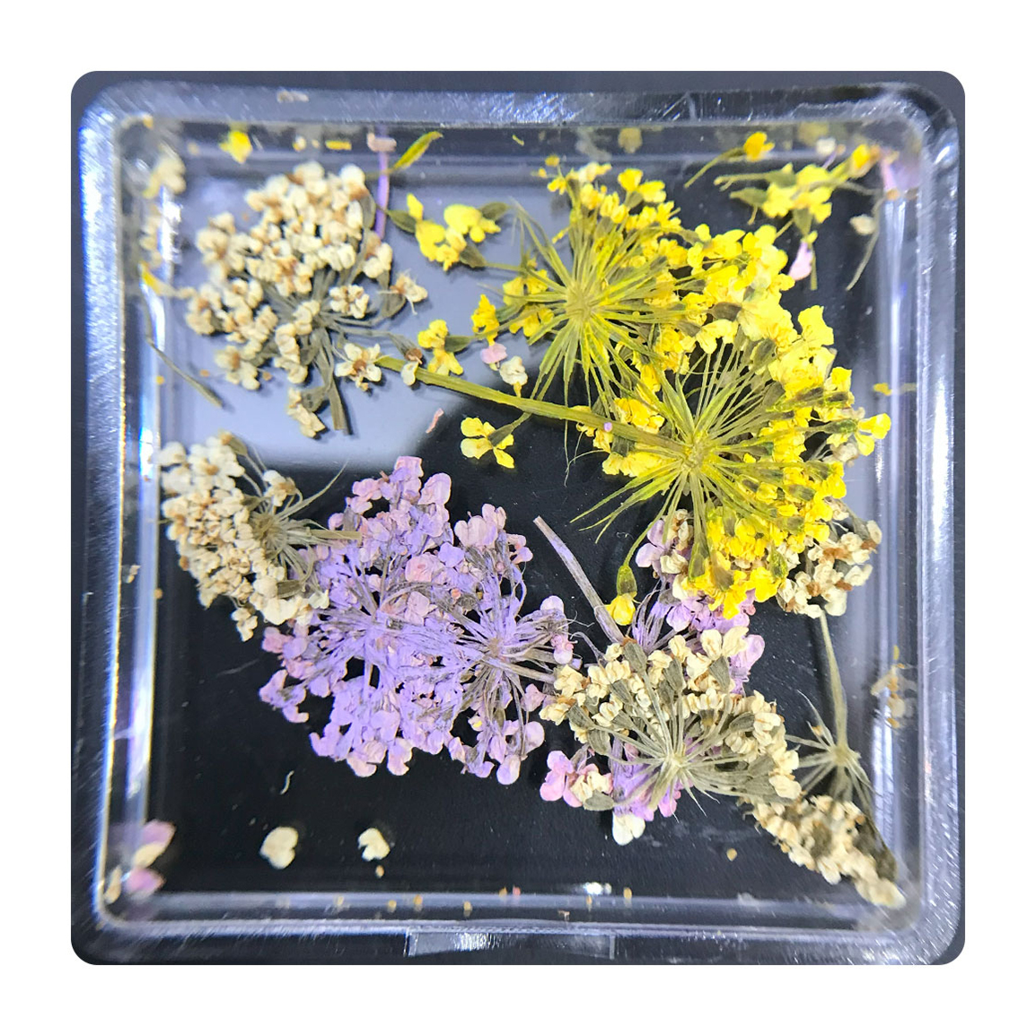 دیزاین گل خشک ناخن مدل FN01