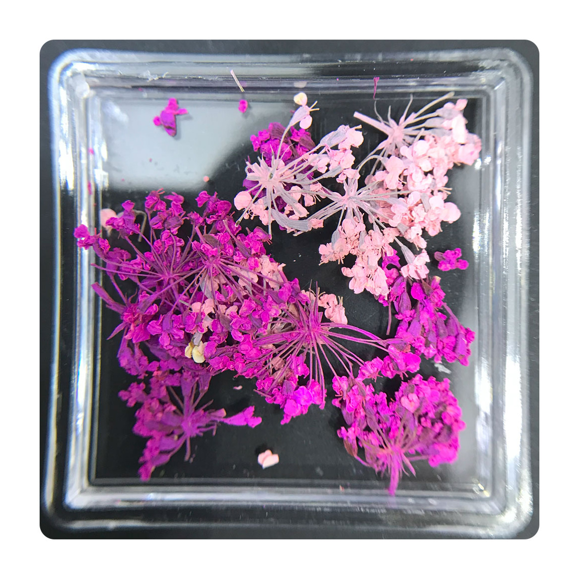 دیزاین گل خشک ناخن مدل FN02