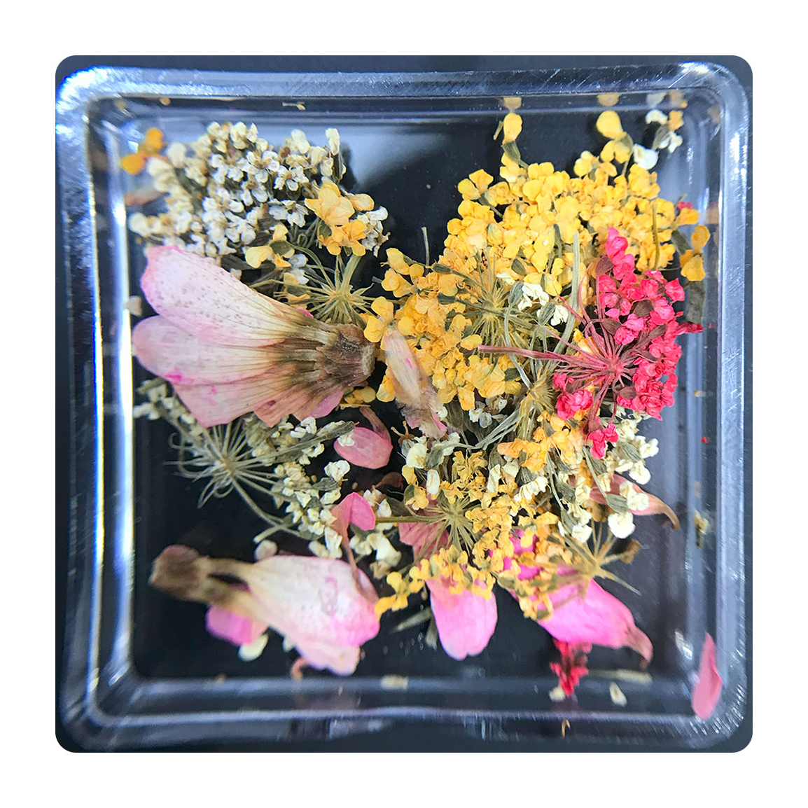 دیزاین گل خشک ناخن مدل FN03