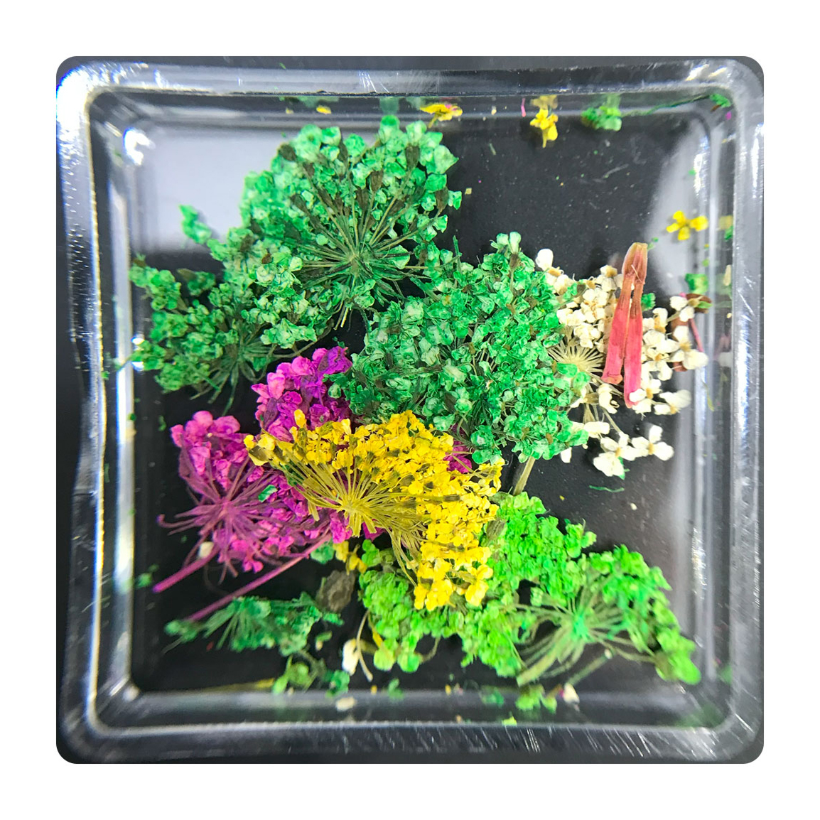 دیزاین گل خشک ناخن مدل FN04