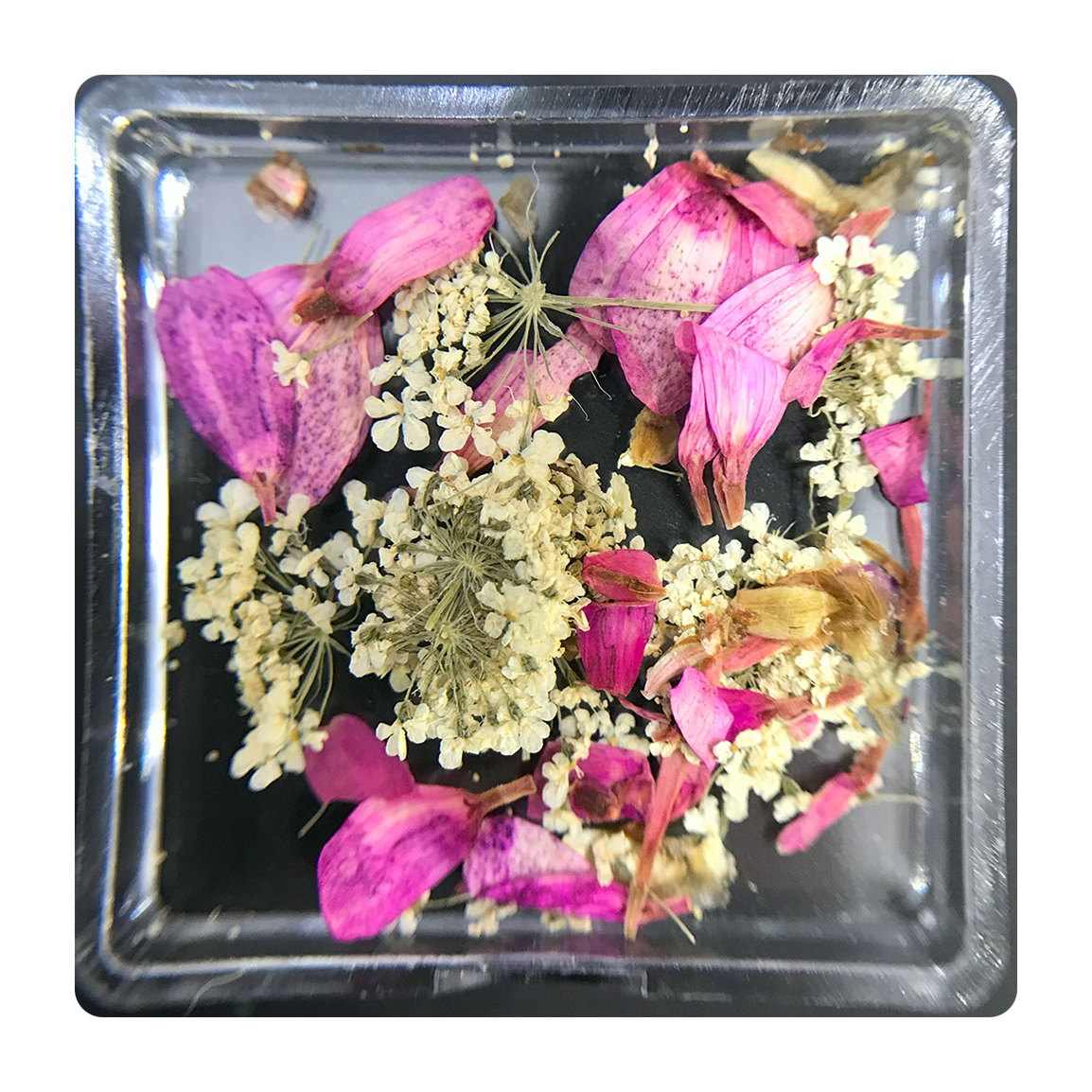 دیزاین گل خشک ناخن مدل FN05