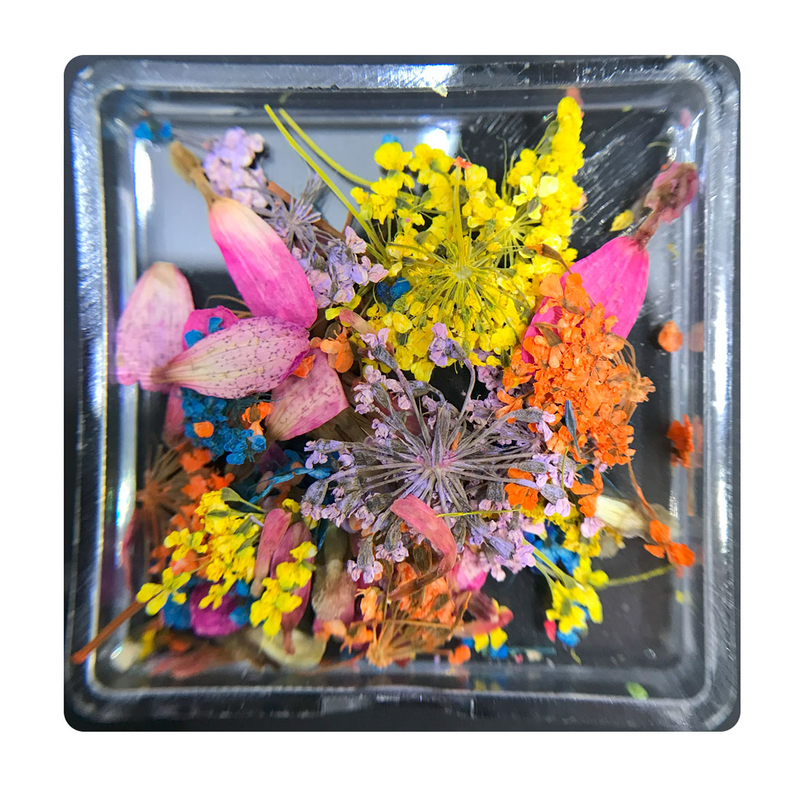 دیزاین گل خشک ناخن مدل FN07