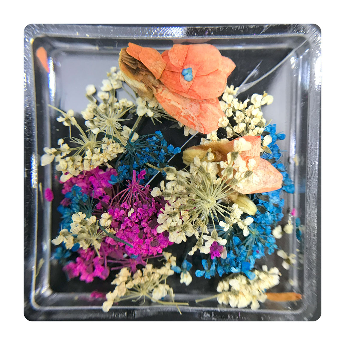 دیزاین گل خشک ناخن مدل FN08