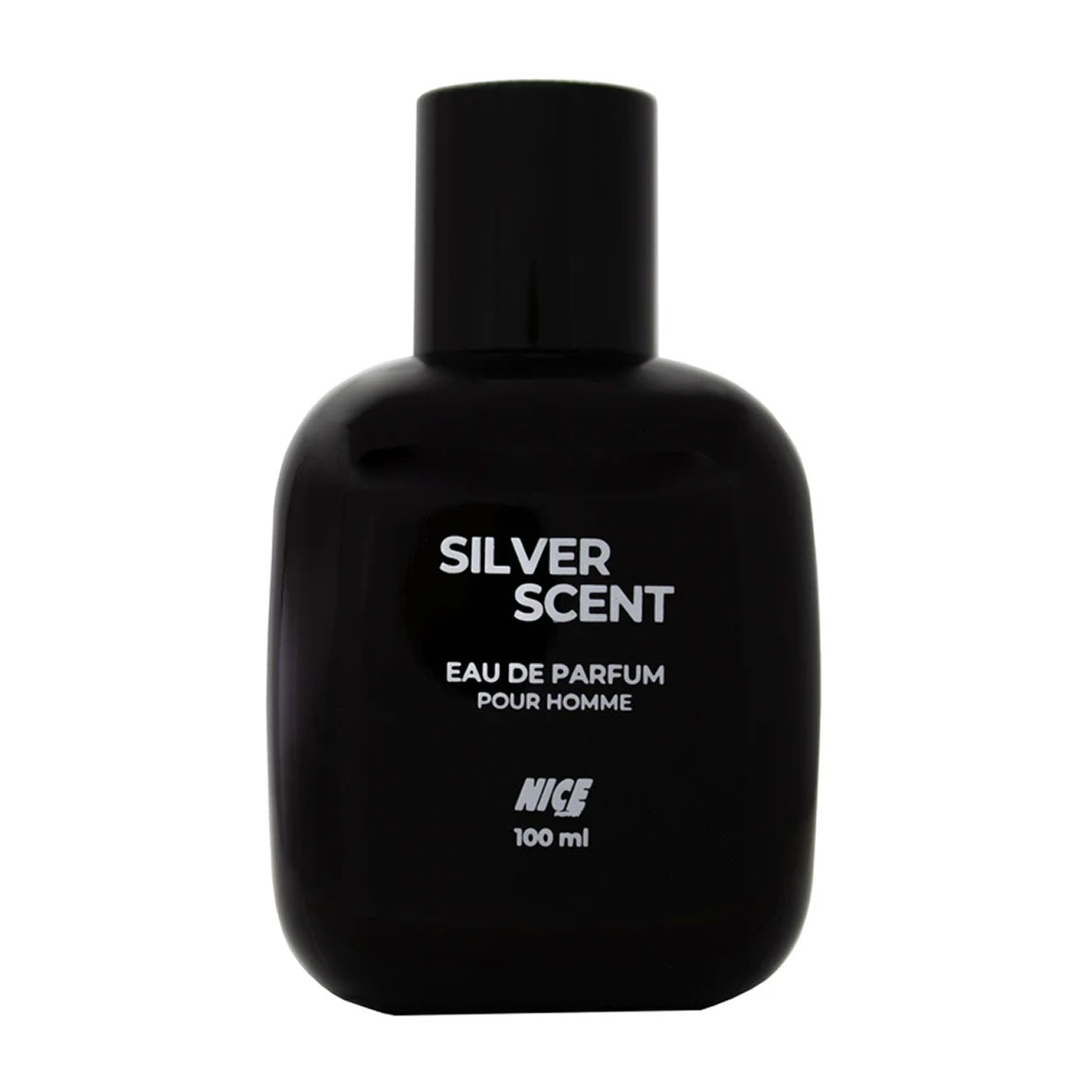 ادوپرفیوم مردانه مدل Silver Scent حجم 100 میلی لیتر