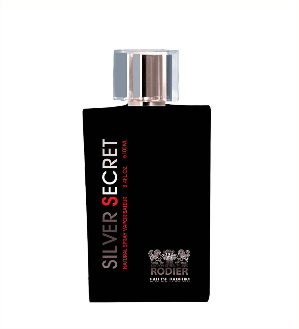 ادو پرفیوم مردانه مدل Silver Secret حجم 100 میل