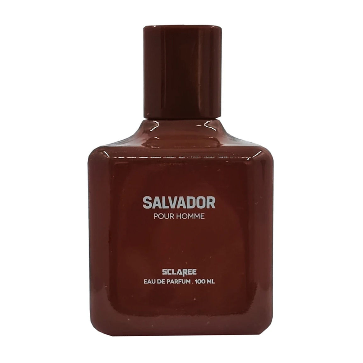 ادو پرفیوم مردانه استندی مدل Salvador حجم 100 میلی لیتر