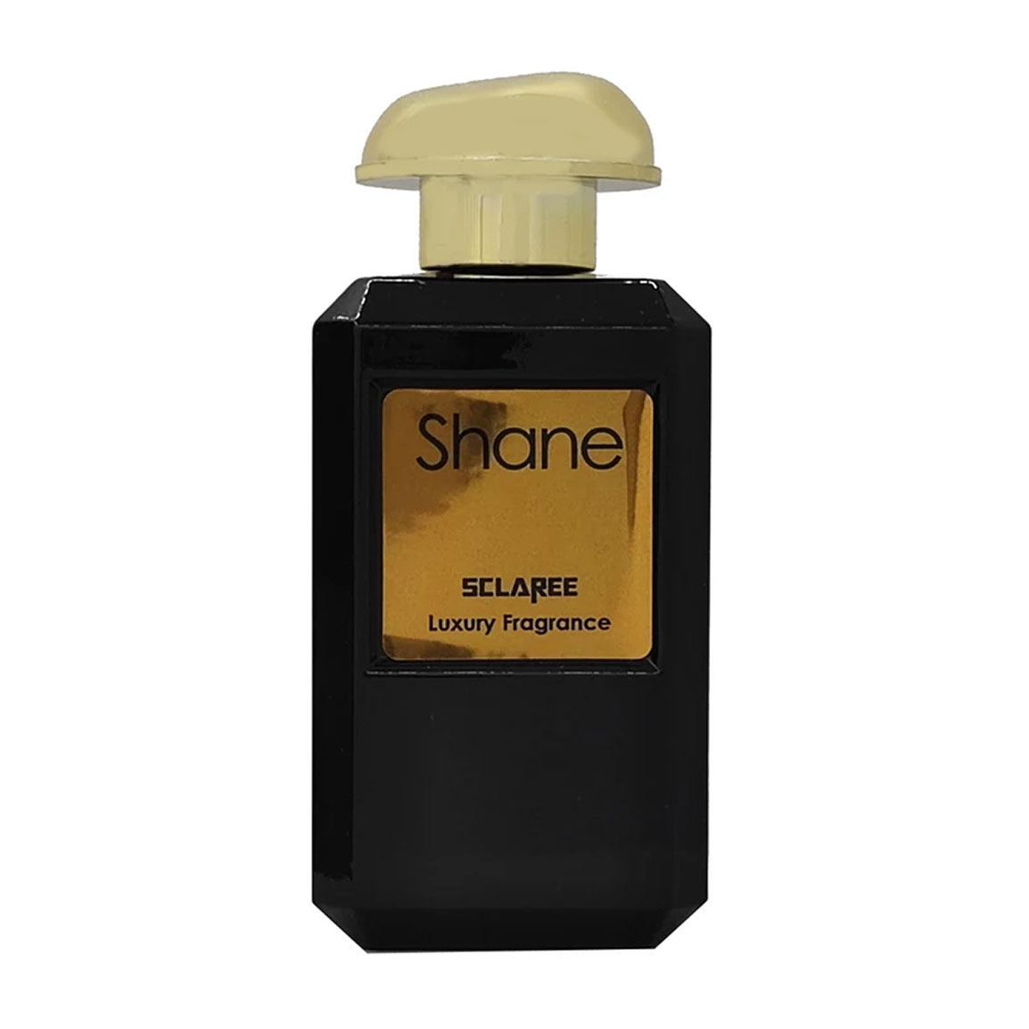 ادوپرفیوم مردانه مدل Shane Gray Vetiver حجم 100 میلی لیتر